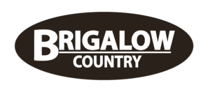 Brigalow
