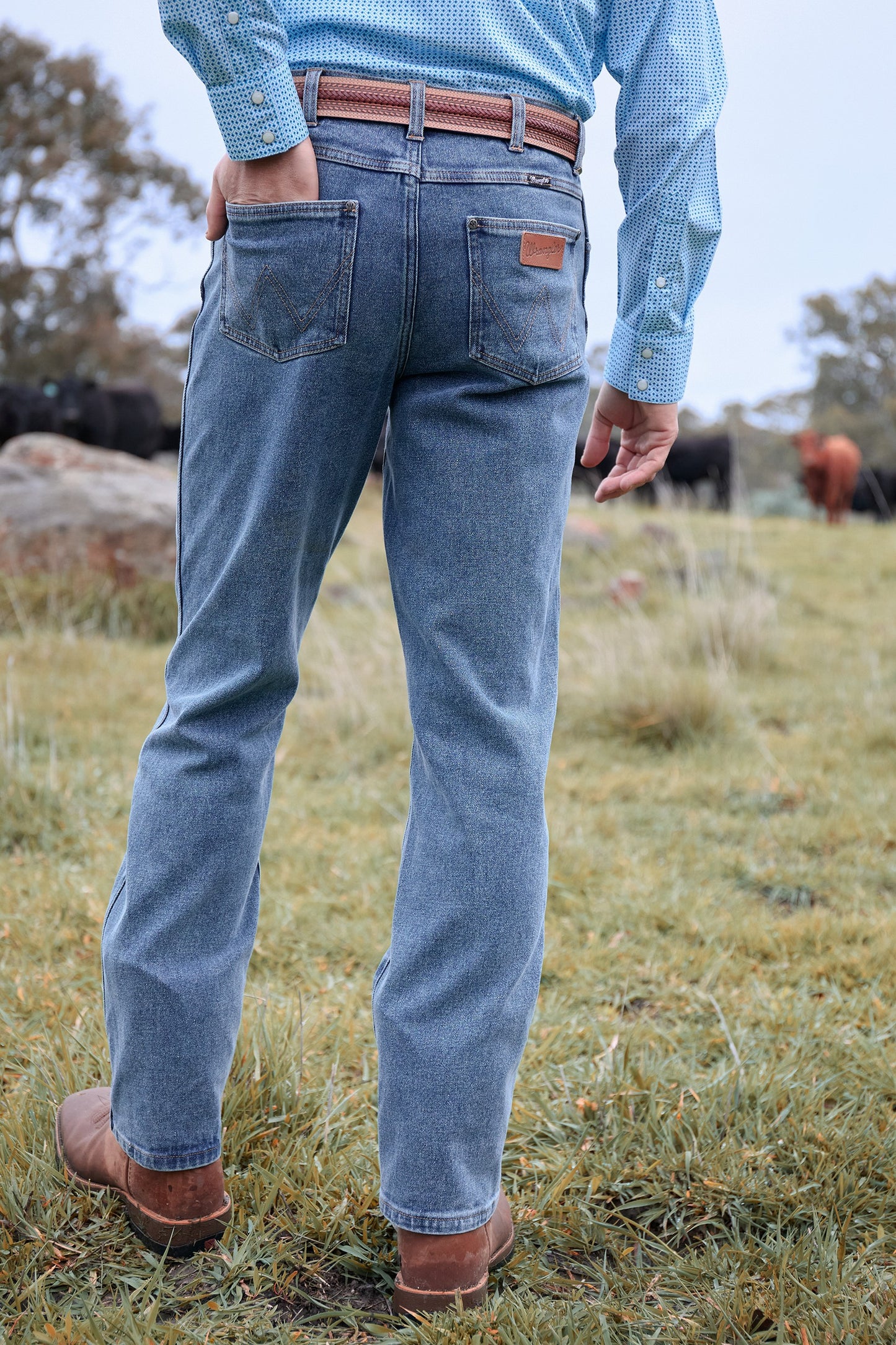 Wrangler Men's Reg Straight Jean