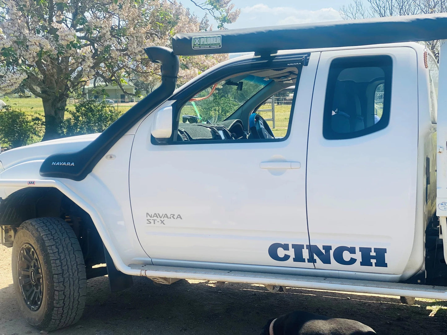 Cinch Decal Long